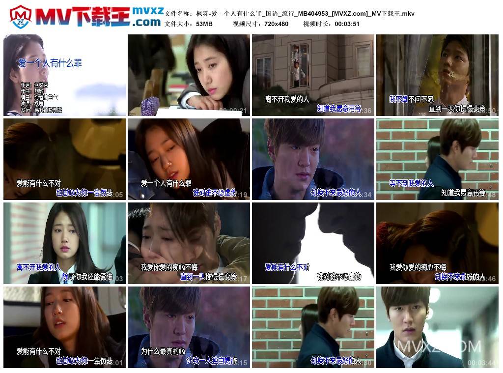 枫舞-爱一个人有什么罪_国语_流行_MB404953